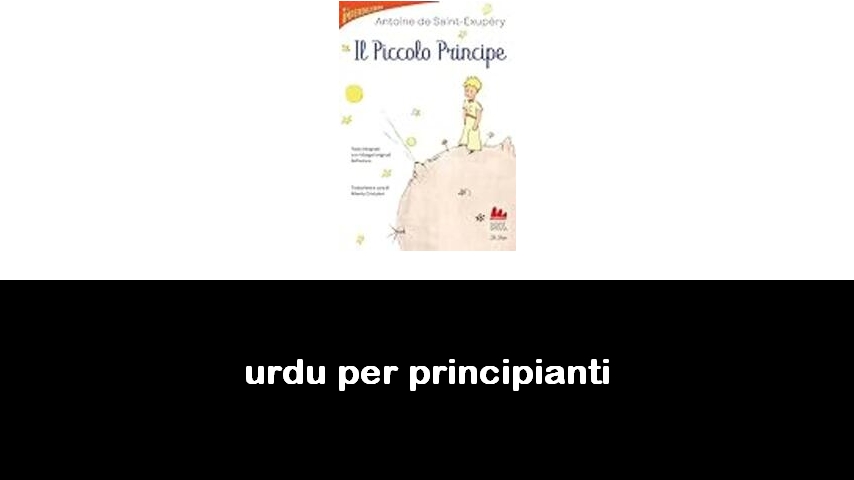 libri di urdu per principianti