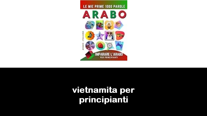 libri di vietnamita per principianti