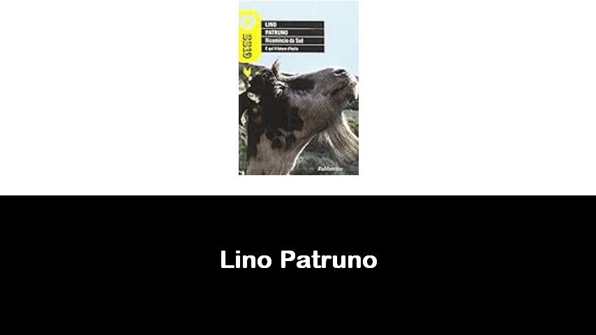 libri di Lino Patruno