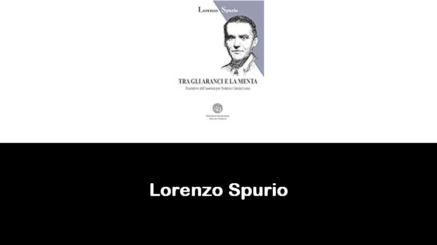 libri di Lorenzo Spurio