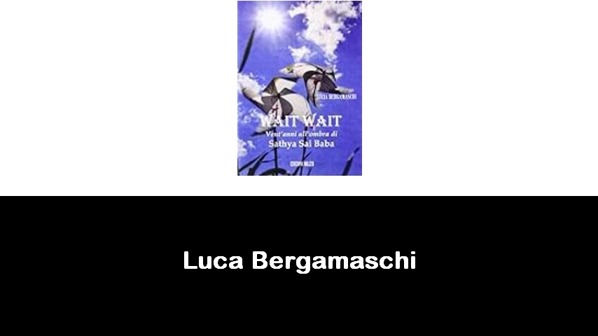 libri di Luca Bergamaschi