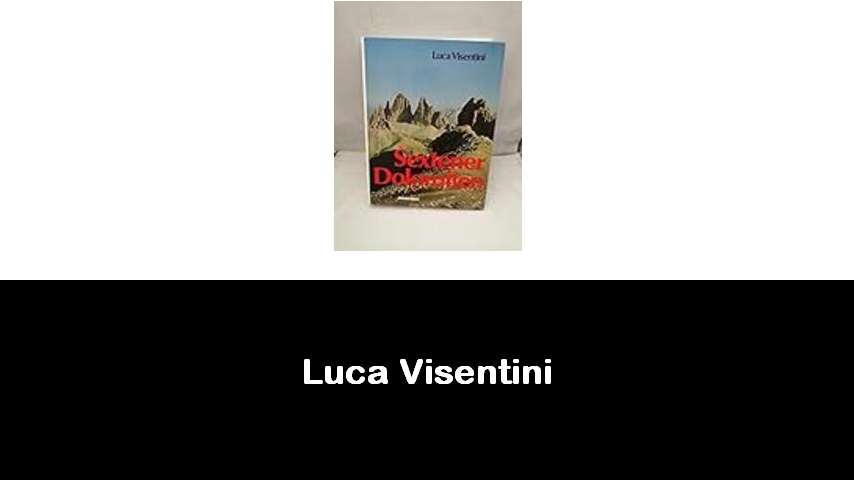 libri di Luca Visentini