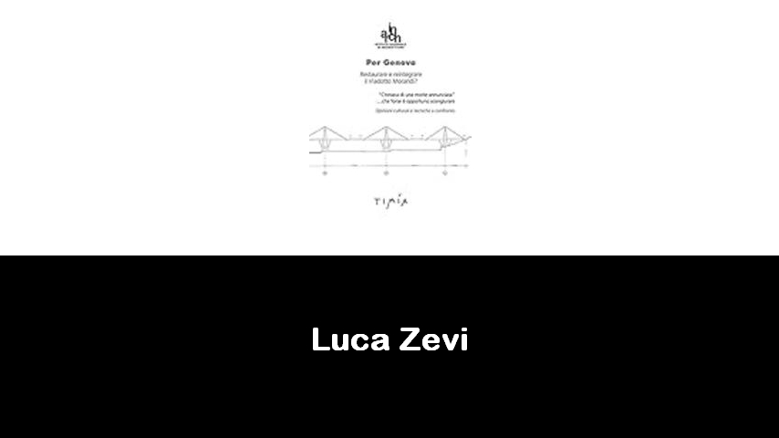 libri di Luca Zevi