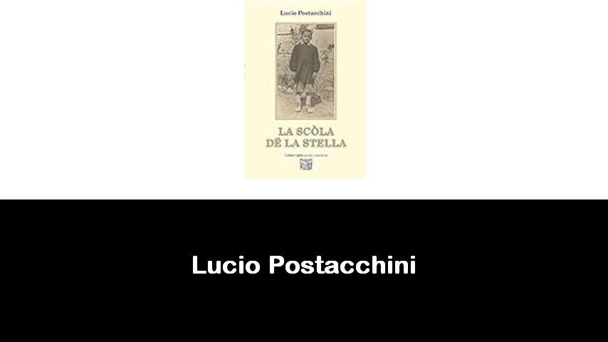 libri di Lucio Postacchini