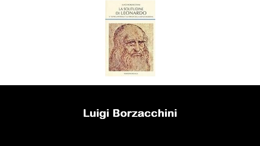 libri di Luigi Borzacchini