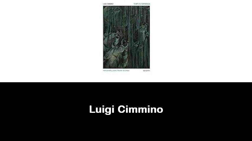 libri di Luigi Cimmino