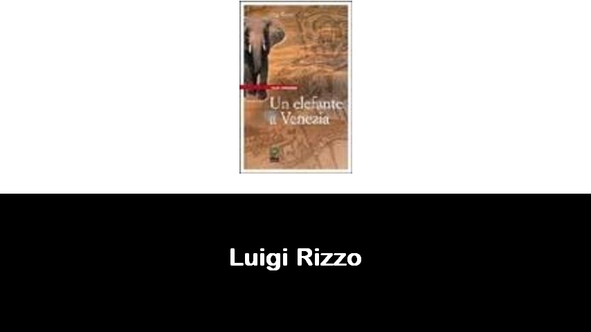 libri di Luigi Rizzo