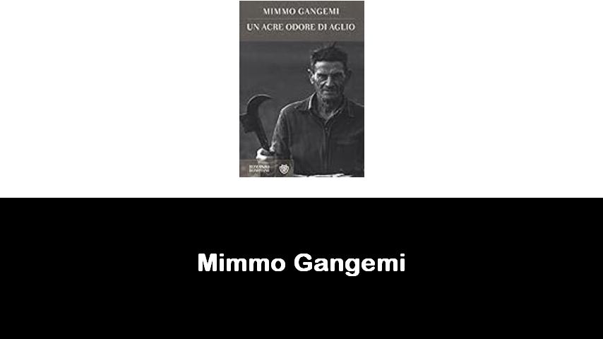 libri di Mimmo Gangemi