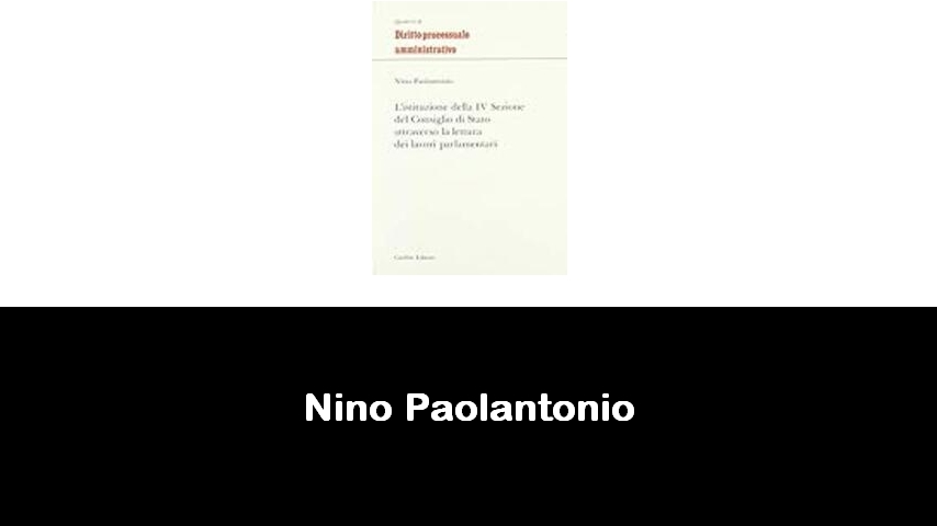 libri di Nino Paolantonio