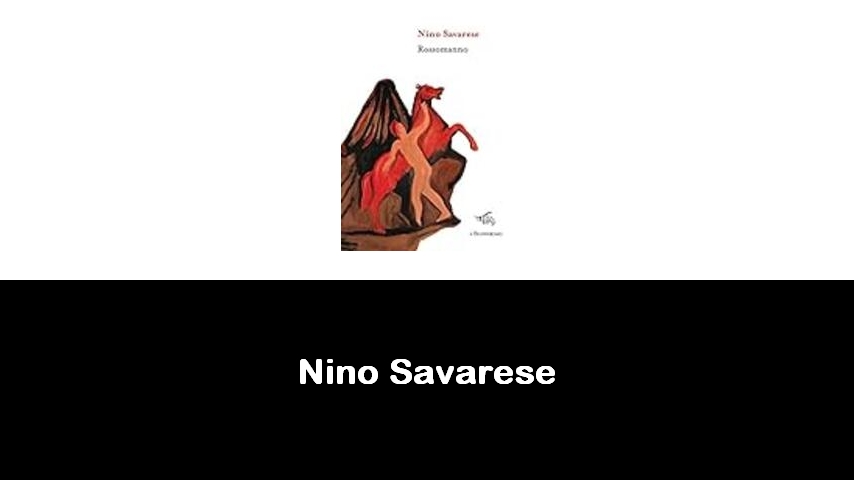 libri di Nino Savarese