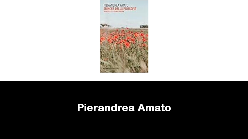 libri di Pierandrea Amato