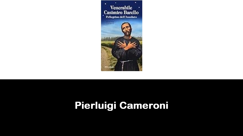 libri di Pierluigi Cameroni