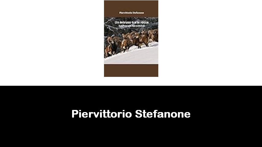 libri di Piervittorio Stefanone