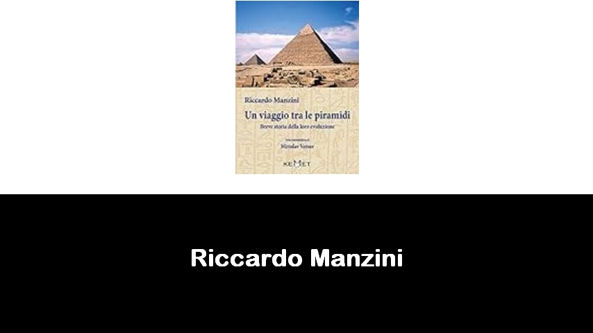 libri di Riccardo Manzini