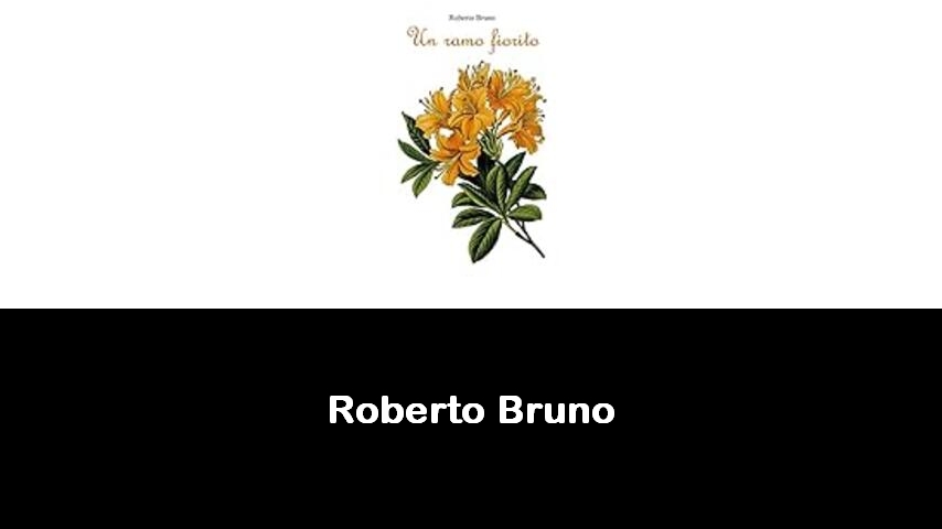 libri di Roberto Bruno