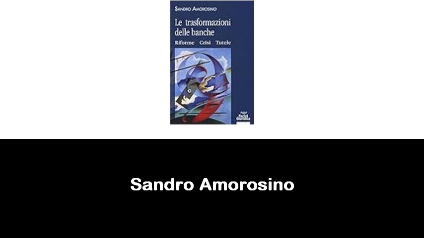 libri di Sandro Amorosino