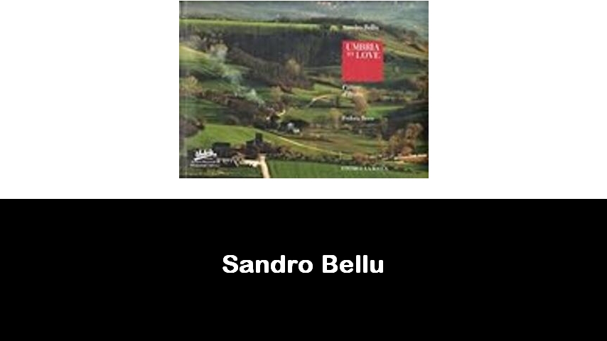 libri di Sandro Bellu