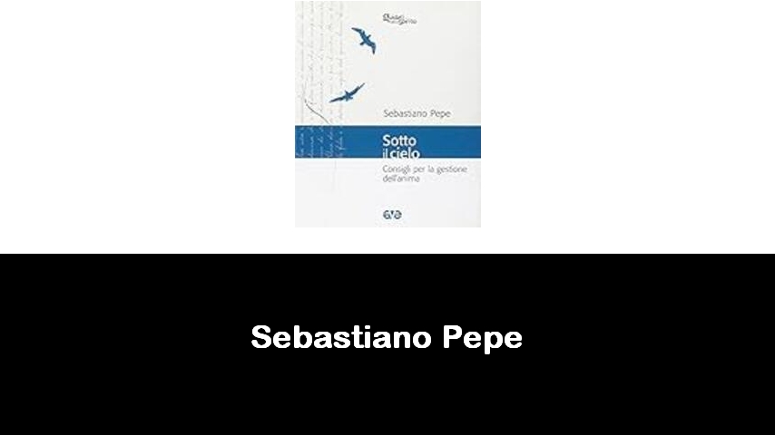 libri di Sebastiano Pepe