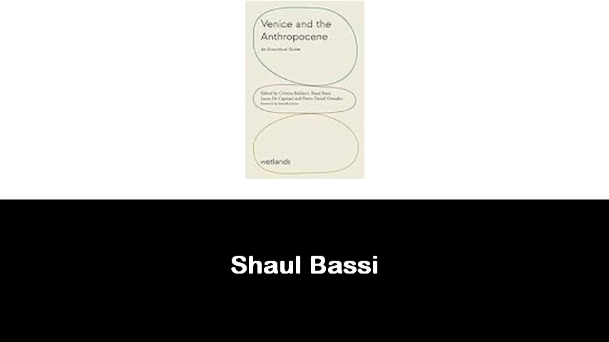 libri di Shaul Bassi