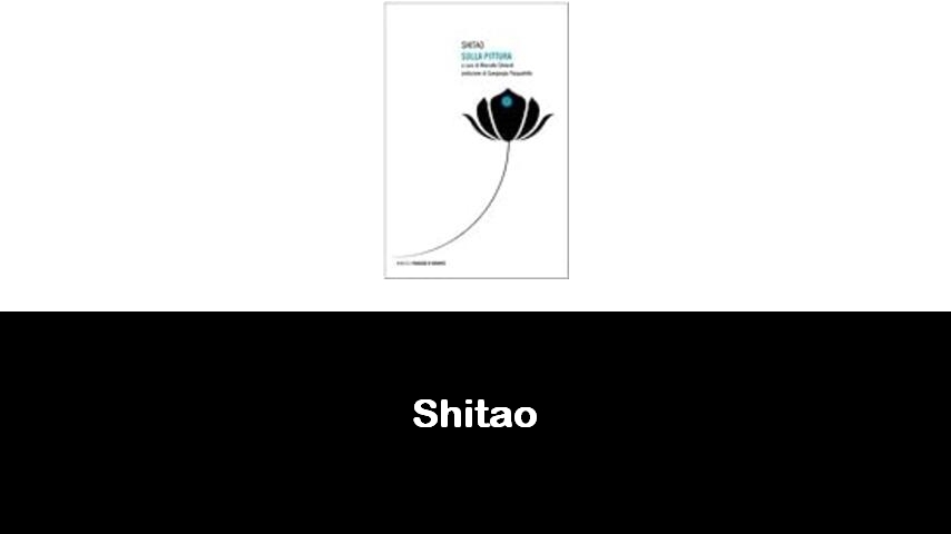 libri di Shitao