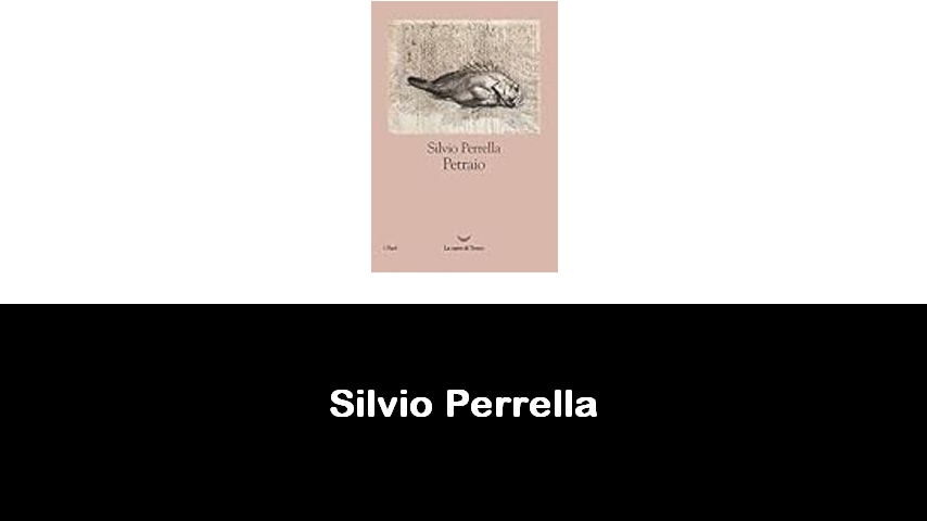 libri di Silvio Perrella