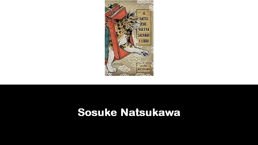 libri di Sosuke Natsukawa