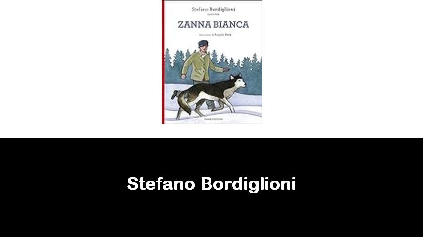 libri di Stefano Bordiglioni