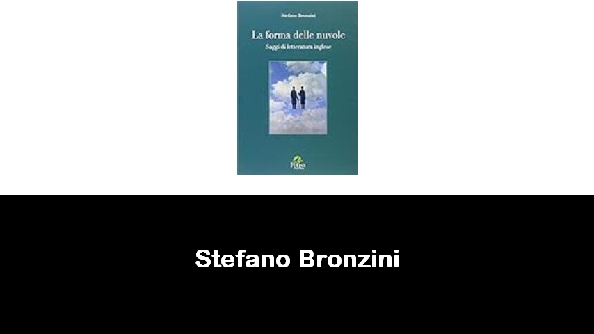 libri di Stefano Bronzini