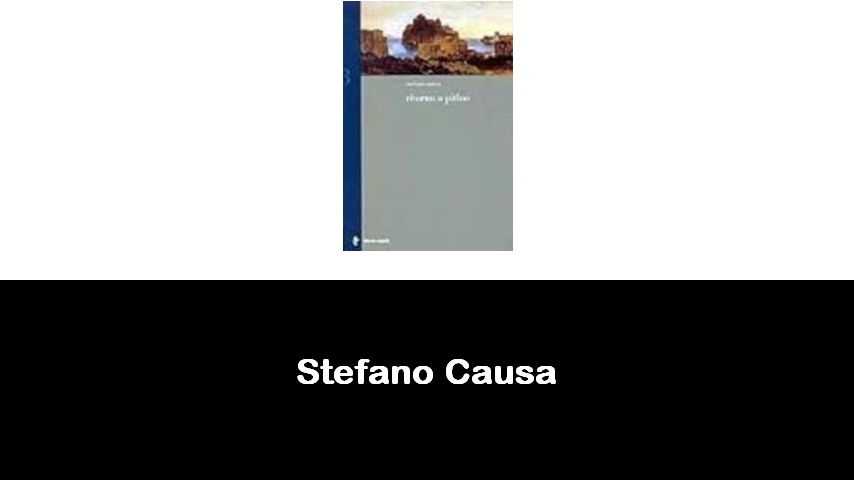 libri di Stefano Causa