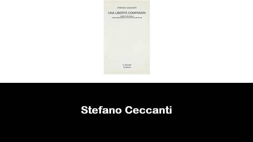 libri di Stefano Ceccanti