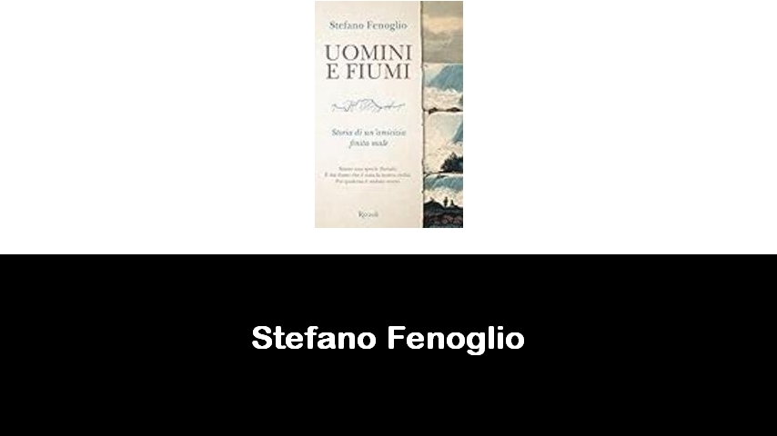 libri di Stefano Fenoglio