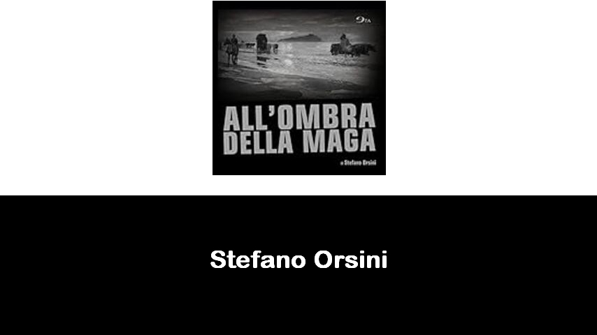 libri di Stefano Orsini