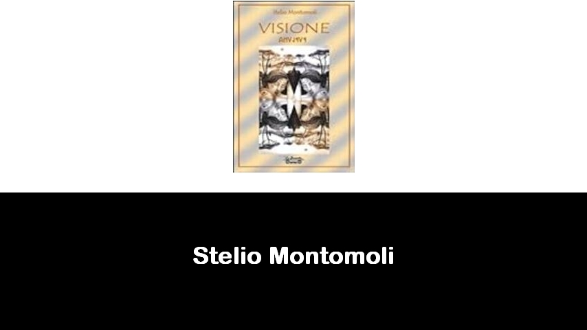 libri di Stelio Montomoli