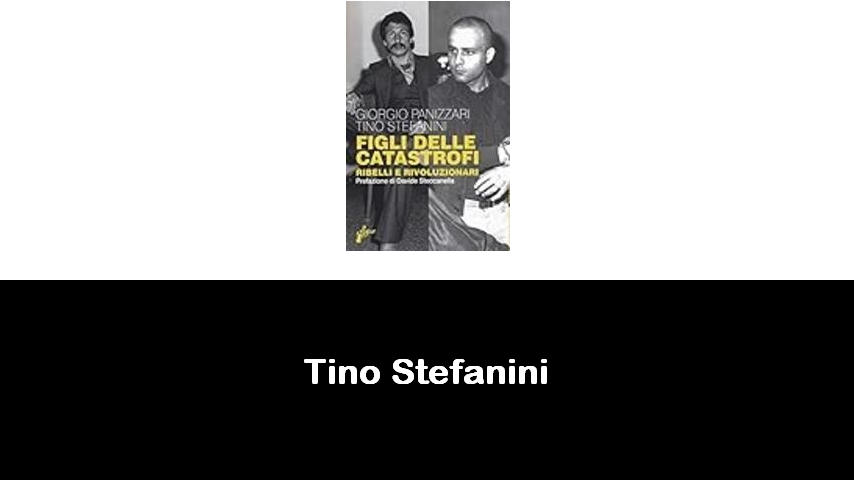 libri di Tino Stefanini