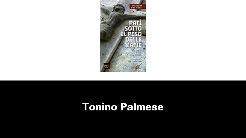 libri di Tonino Palmese