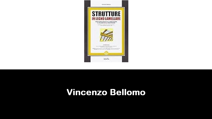 libri di Vincenzo Bellomo