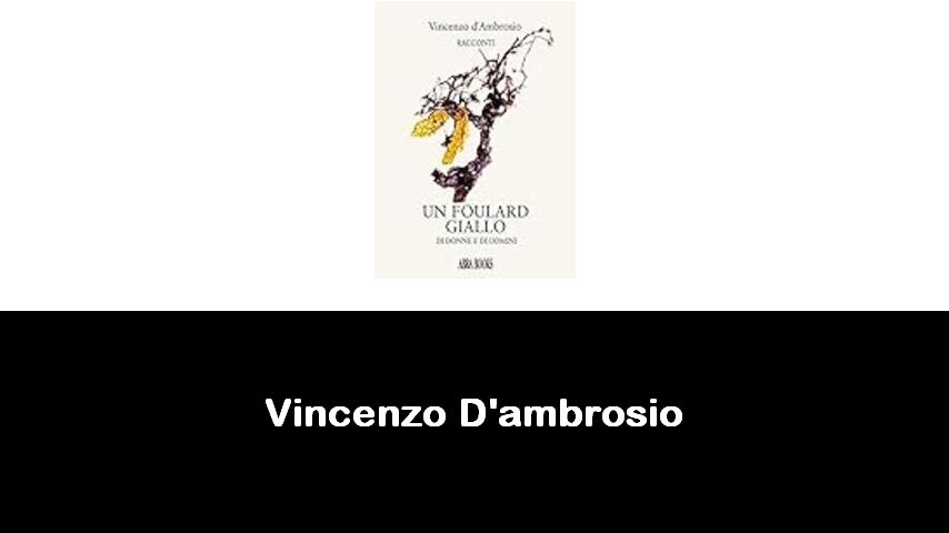 libri di Vincenzo D'ambrosio