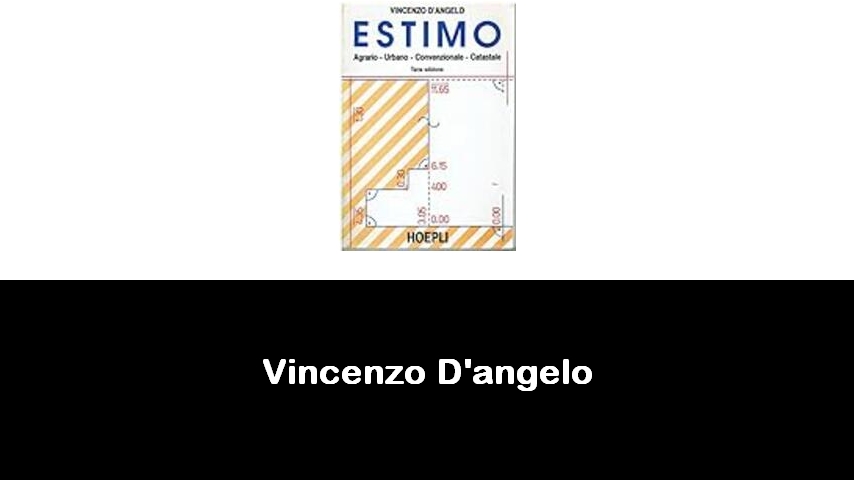 libri di Vincenzo D'angelo