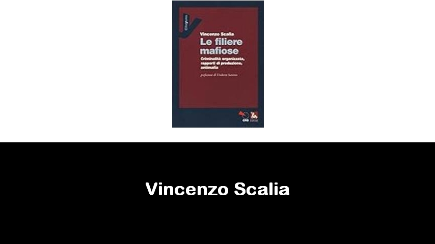 libri di Vincenzo Scalia