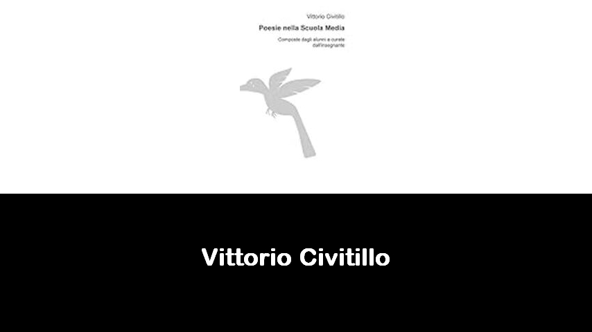 libri di Vittorio Civitillo