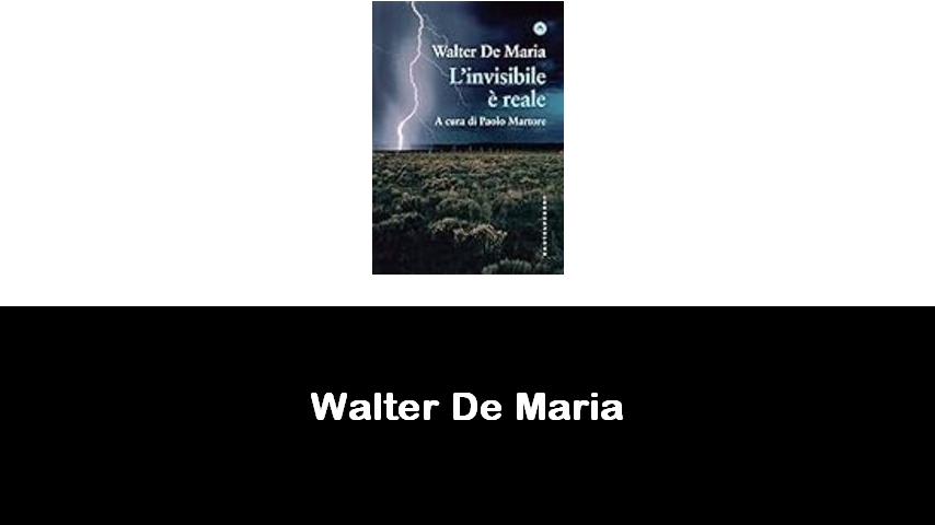 libri di Walter De Maria