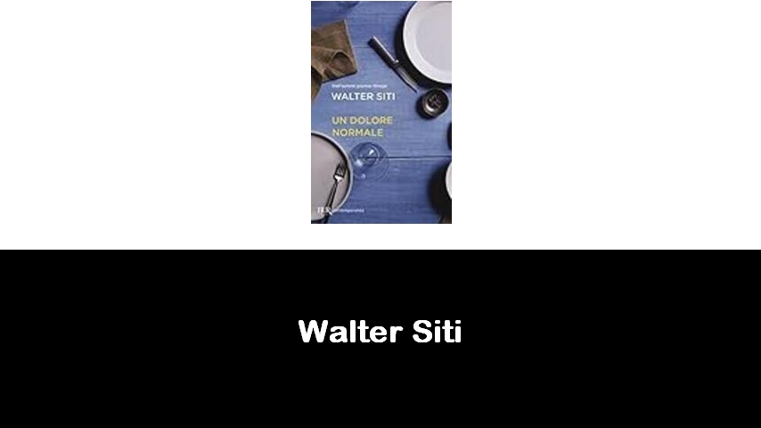 libri di Walter Siti